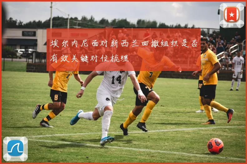 埃尔内尼面对新西兰回撤组织是否有效关键对位梳理